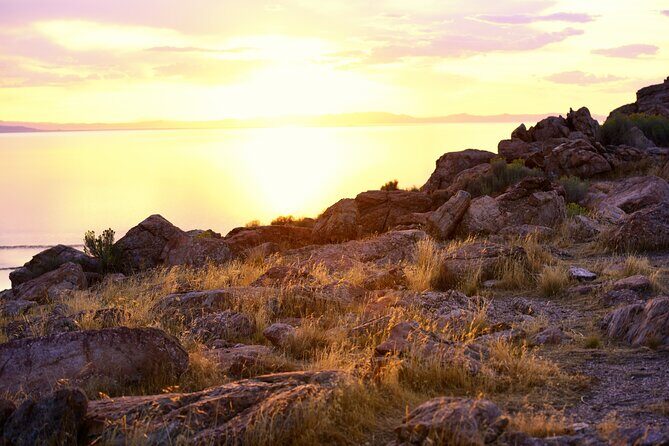 Antelope Island Sunset Wildlife Expedition Great Salt Lake Tour - FAQs
