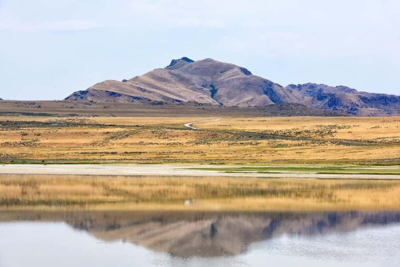 Antelope Island  Wildlife Expedition to the Great Salt Lake - Why This Tour Offers Great Value