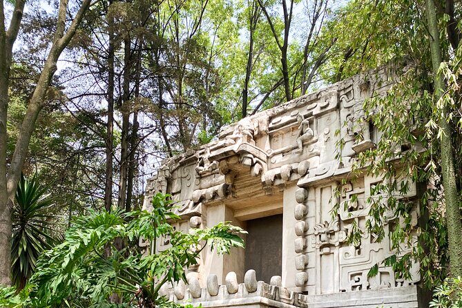 Anthropology Museum Early Access Tour - Who Should Consider This Tour?