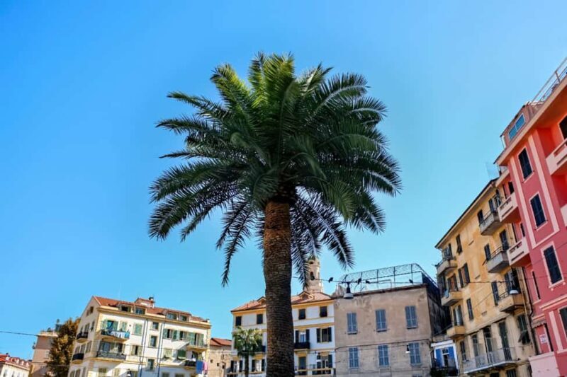 Antibes: Express Walk with a Local in 60 minutes - What’s Included and What to Expect