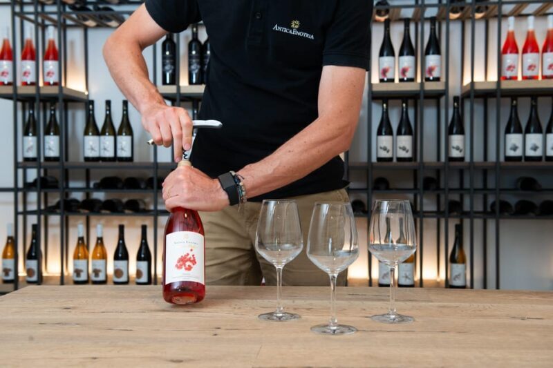 ANTICA ENOTRIA: CELLAR TASTING OF WINES AND PRESERVES - Practical Details and What to Expect