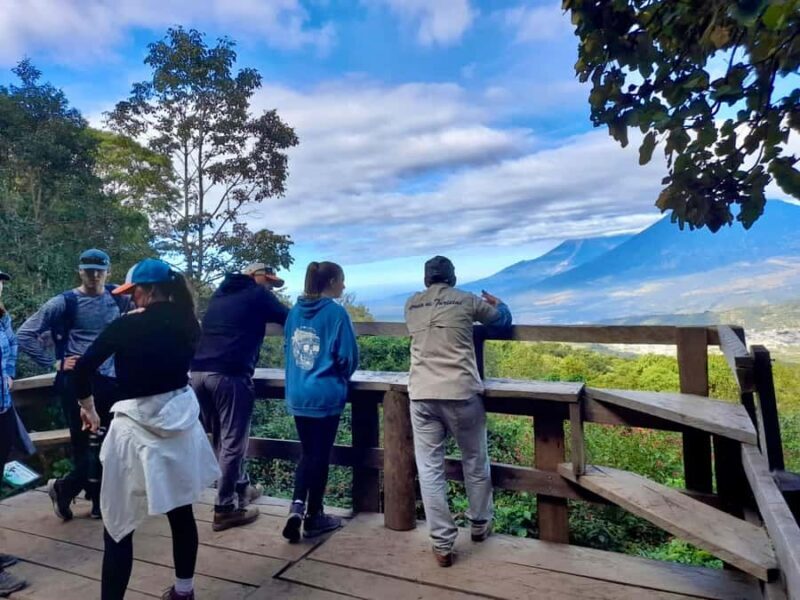 Antigua Guatemala: Private Day Tour to Pacaya Volcano - Final Thoughts