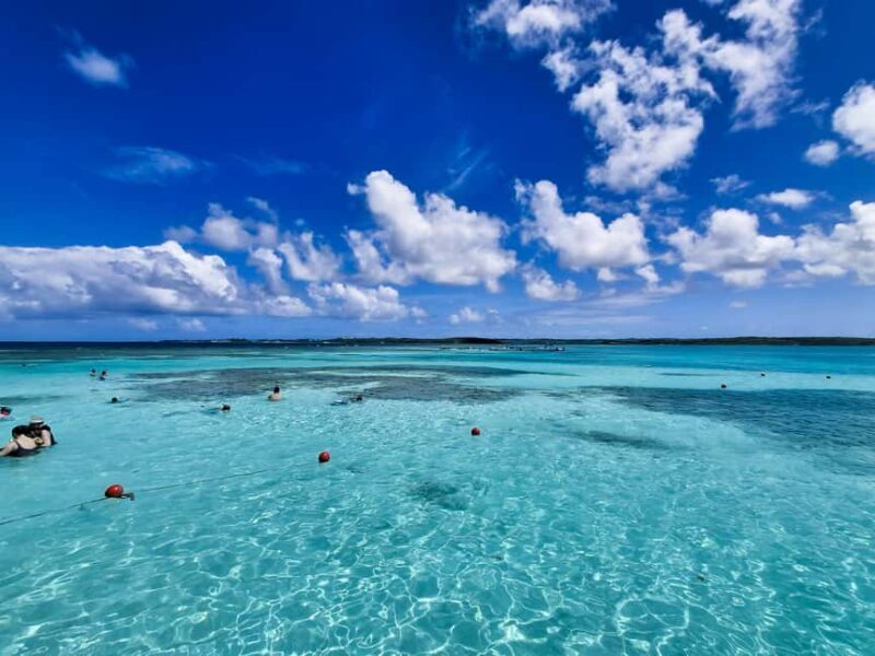 Antigua: Stingray City Experience with Round-Trip Transfer - Final Thoughts