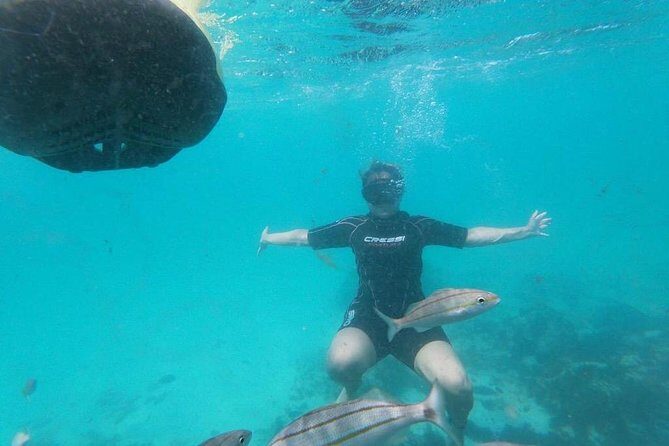 Antilla Shipwreck Seabob Tour - Exploring Aruba’s Antilla Shipwreck with a Seabob