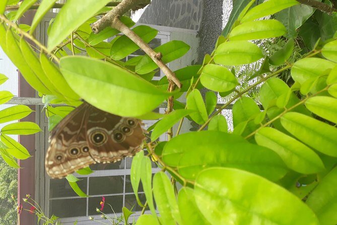 Anton Valley Highlights Tour From Panama City - Final Thoughts