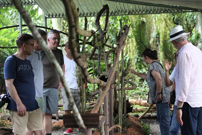 Ants Tour - Hormigas Town - Key Points