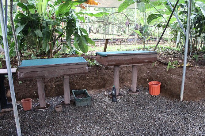 Ants Tour - Hormigas Town - A Detailed Look at the Ants Tour Experience