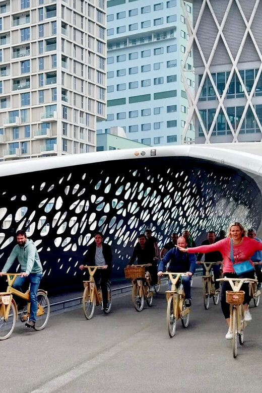 Antwerp: The Big 5 City Highlights by Wooden Bike - Who Is This Tour Best For?