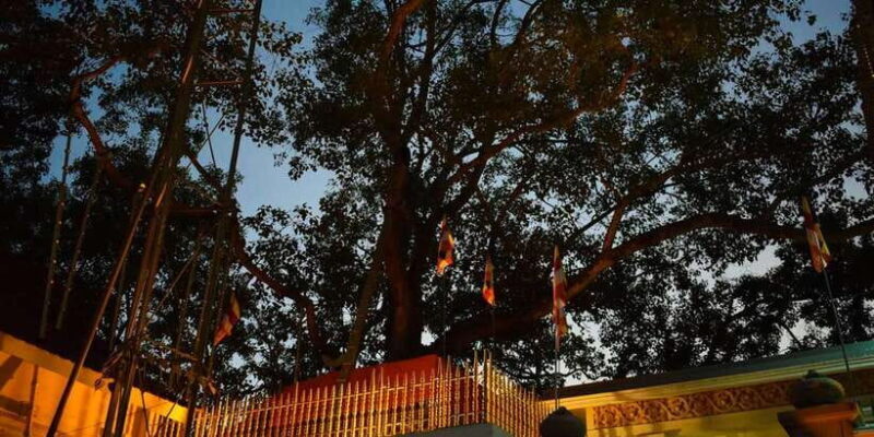 Anuradhapura & Aukana: Private Day Tour From Sigiriya - Who Will Love This Tour?