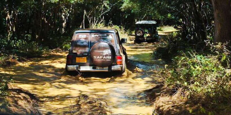 Anuradhapura: Full-Day Wilpattu National Park Private Safari - Final Thoughts
