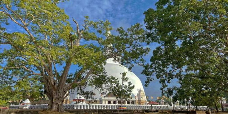 Anuradhapura Private Ancient City Day Tour - A Closer Look at the Anuradhapura Private Tour