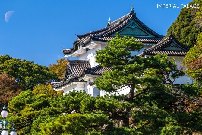 Anywhere you like! Tokyo Customized Tour in 3 hours - Key Points