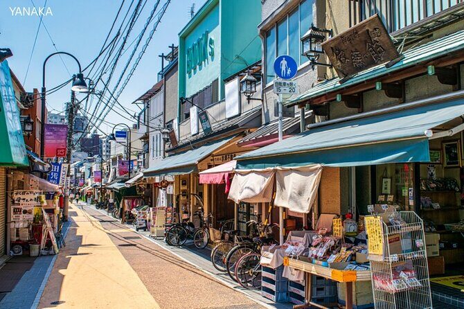 Anywhere you like! Tokyo Customized Tour in 3 hours - Exploring the Custom Tokyo Tour: A Deep Dive