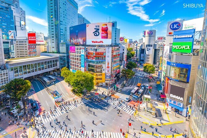 Anywhere you like! Tokyo Customized Tour in 3 hours - Itinerary Options and How They Work