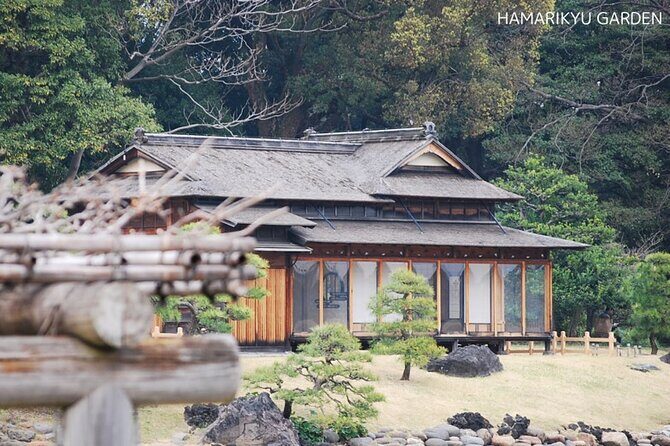 Anywhere you Like Tokyo Customized Tour in 5 hours - Key Points