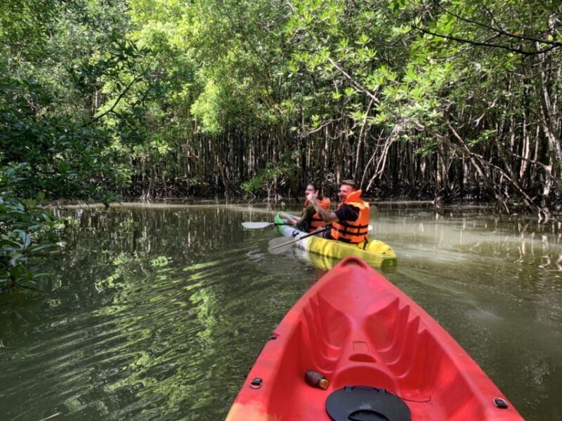 Ao Nang: Kayak Tour in Krabi Mangrove Forest with Lunch - Discover the Calm of Krabi’s Mangroves with a Kayak Tour from Ao Nang