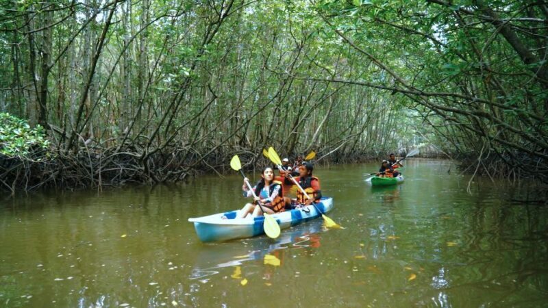 Ao Nang: Kayak Tour in Krabi Mangrove Forest with Lunch - Is This Tour Worth It?