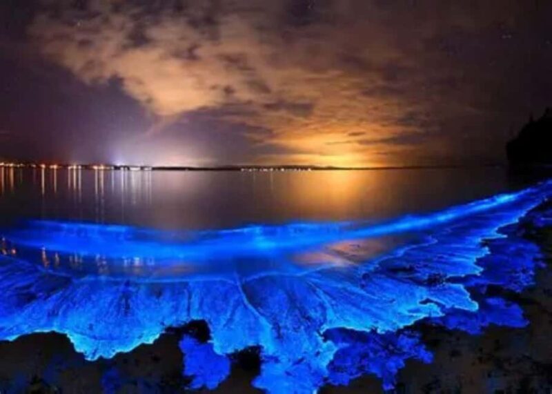 Ao Nang Night Tour  Swim with bioluminescent plankton - Final Thoughts: Is the Ao Nang Night Tour Worth It?