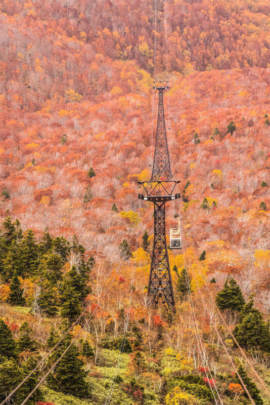 Aomori Day Trip: Oirase Gorge & Towada Lake - Why this route works from Aomori