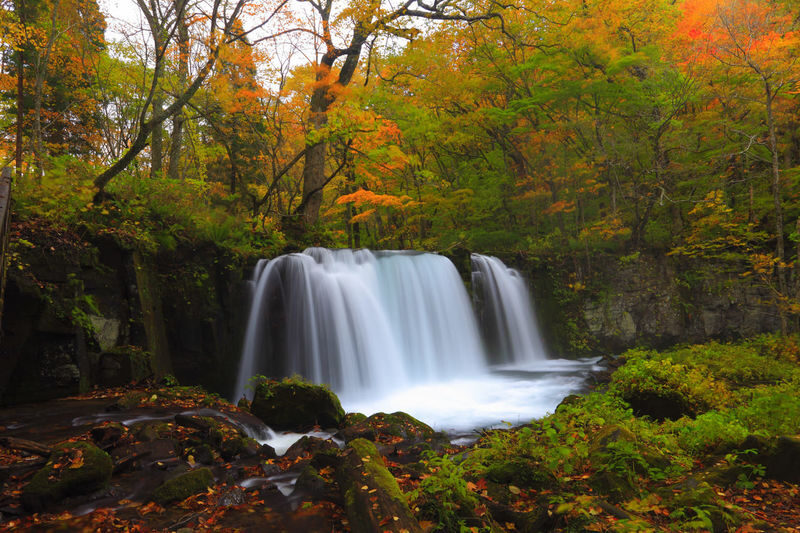 Aomori Day Trip: Oirase Gorge & Towada Lake - Hakkoda: beautiful when the weather cooperates