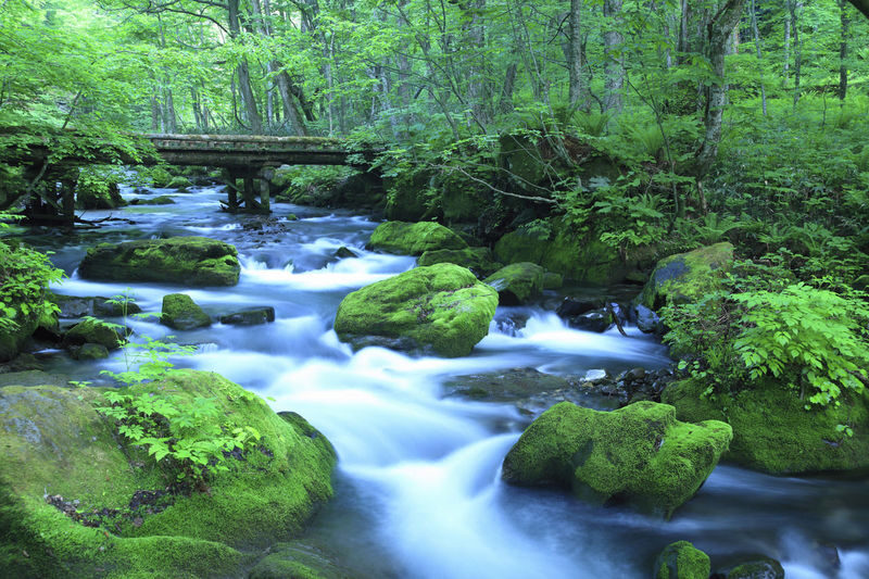 Aomori Day Trip: Oirase Gorge & Towada Lake - Lake Towada: a change of pace from the gorge