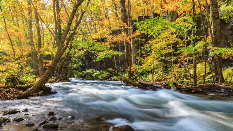 Aomori Day Trip: Oirase Gorge & Towada Lake - Viewpoints, bridges and possible extras