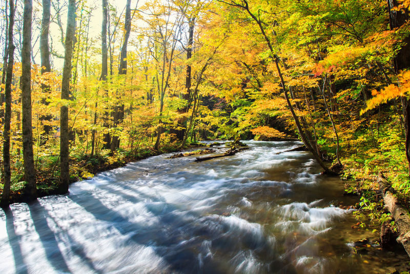 Aomori Day Trip: Oirase Gorge & Towada Lake - What the driving and group feel are like