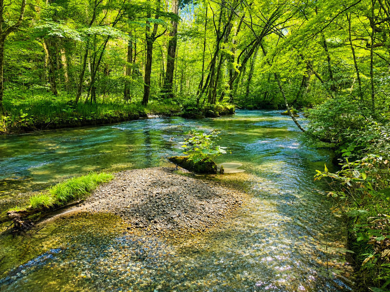 Aomori Day Trip: Oirase Gorge & Towada Lake - Is $126.15 a fair price?