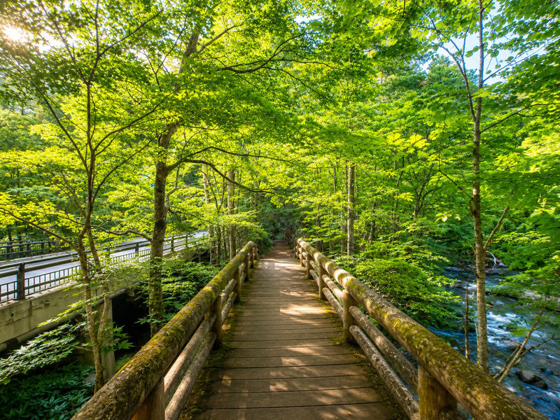 Aomori Day Trip: Oirase Gorge & Towada Lake - What to bring and how to plan