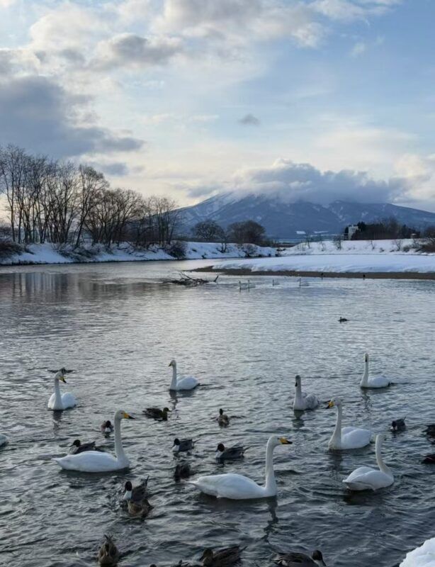 Aomori Hakkoda & Oirase Stream Private Full-Day Tour - Eight hours or ten: how to choose