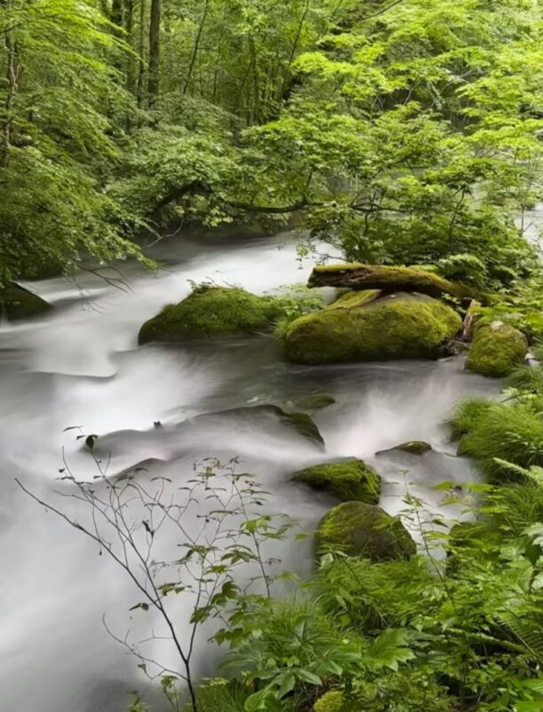 Aomori Hakkoda & Oirase Stream Private Full-Day Tour - Practical details before you set off