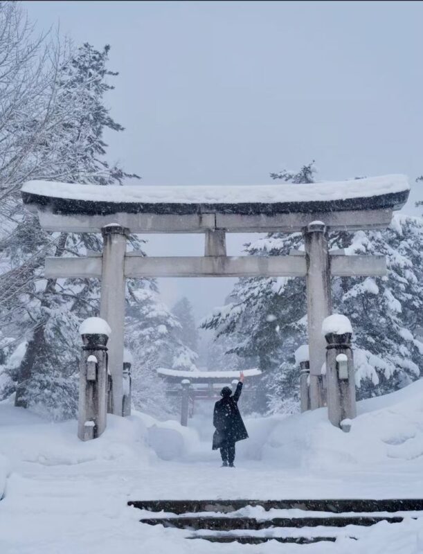 Aomori Hakkoda & Oirase Stream Private Full-Day Tour - Is this the right day trip for you?