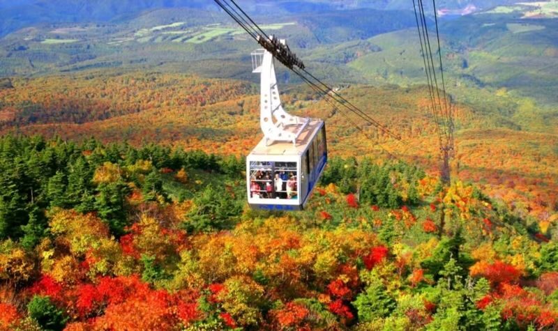 Aomori Oirase Stream & Lake Towada Small Group Tour - Oirase Stream and Lake Towada in one day