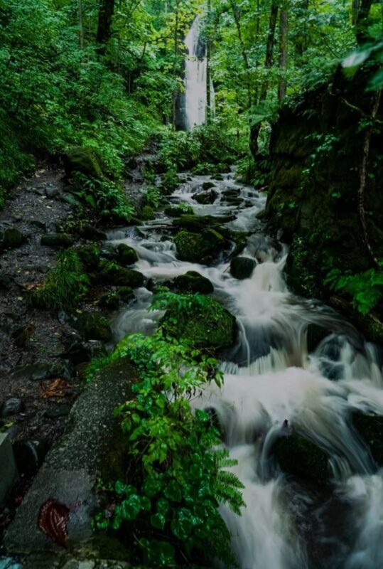 Aomori Oirase Stream & Lake Towada Small Group Tour - What the pace means for your day