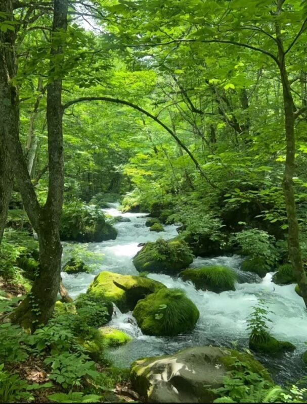 Aomori Oirase Stream & Lake Towada Small Group Tour - Making sense of the sightseeing stops