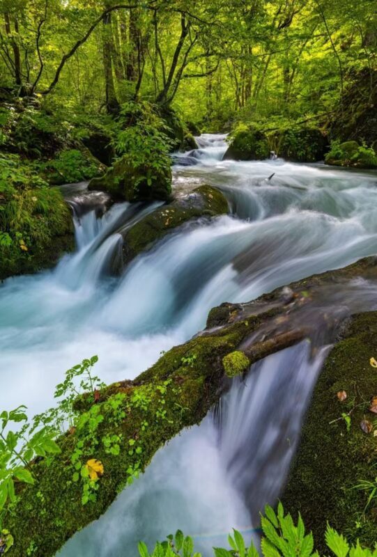 Aomori Oirase Stream & Lake Towada Small Group Tour - What $145.85 buys, and what to check