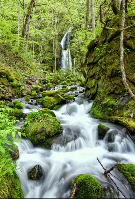 Aomori Oirase Stream & Lake Towada Small Group Tour - Weather, changes, and cancellation terms
