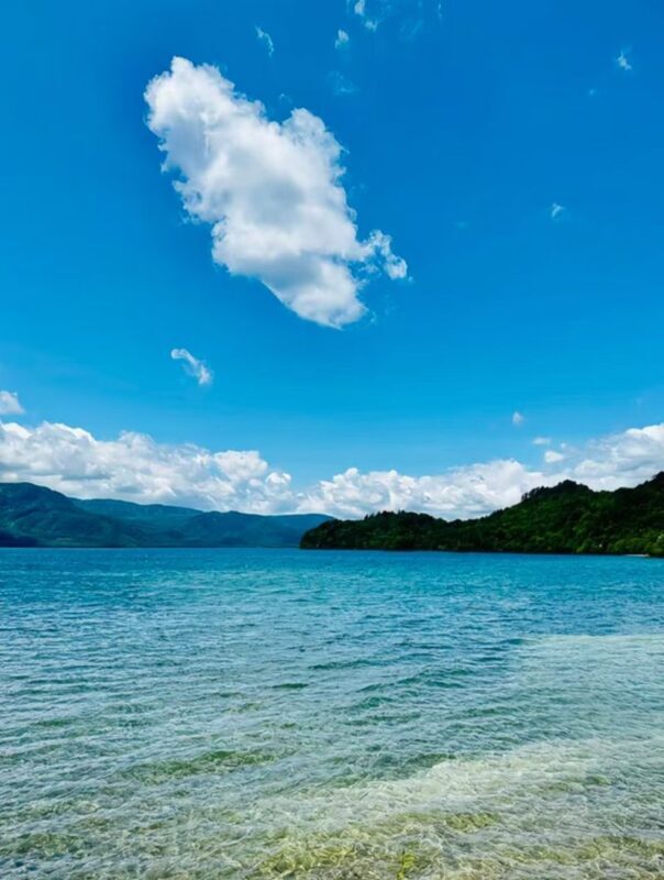 Aomori Oirase Stream & Lake Towada Small Group Tour - Who should choose this Towada outing