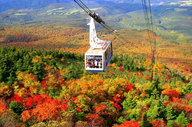 Aomori | Oirase Stream & Shirakami Mountains Private Chartered Day Tour | Customizable Itinerary - Why a private car suits Oirase
