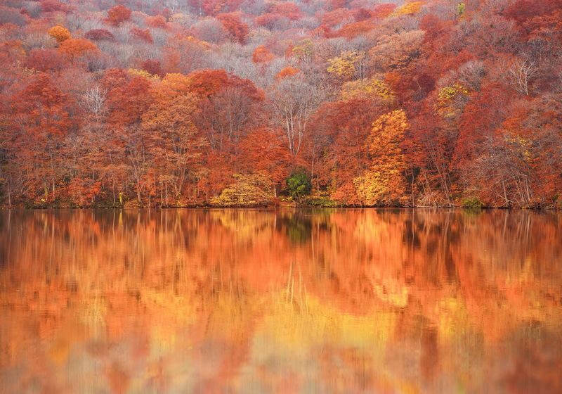 Aomori | Oirase Stream & Shirakami Mountains Private Chartered Day Tour | Customizable Itinerary - Pick the right route before you book