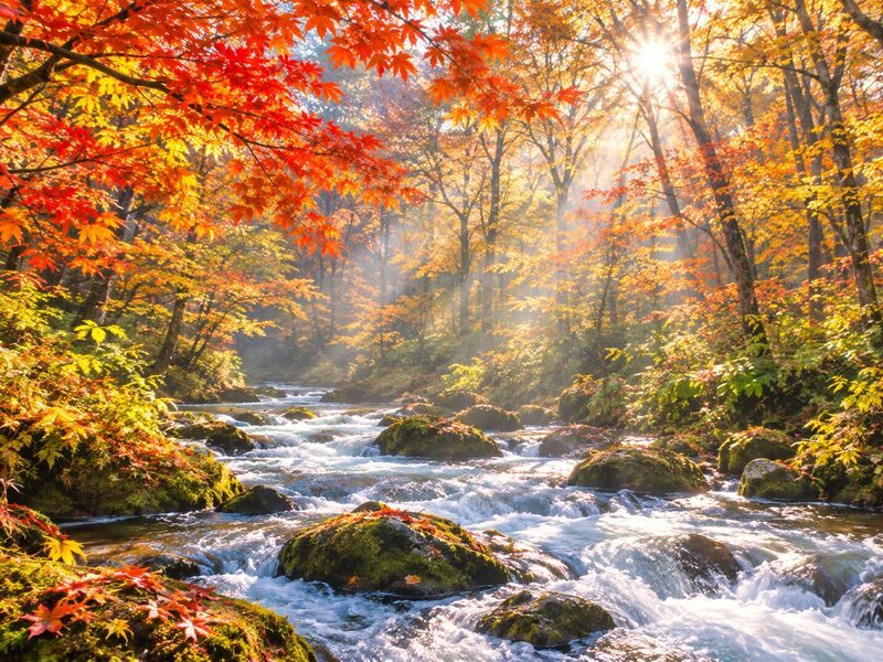 Aomori Small Group Day Tour | Oirase Stream, Hakkoda Mountains, Takayama Inari Shrine, Tanesashi Coast - Aomori in one day: key points