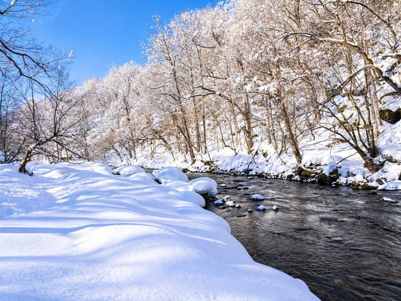Aomori Small Group Day Tour | Oirase Stream, Hakkoda Mountains, Takayama Inari Shrine, Tanesashi Coast - Three routes, three different Aomori days