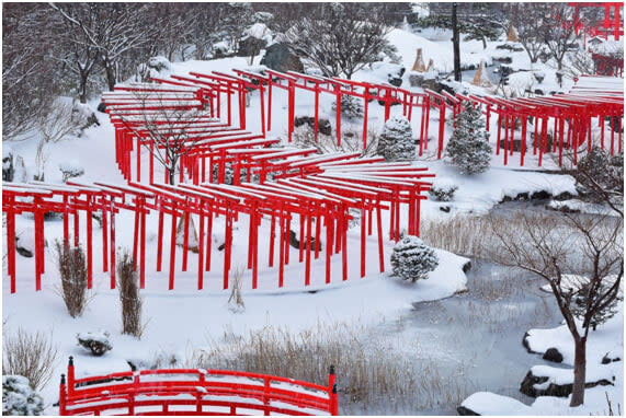 Aomori Small Group Day Tour | Oirase Stream, Hakkoda Mountains, Takayama Inari Shrine, Tanesashi Coast - Plan 2: shrine gates, bridge views, and Cape Tappi