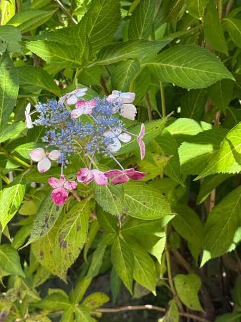 Aomori: Takayama Inari Shrine and Jomon Museum Tour - Discovering Aomori’s Spiritual Heart at Takayama Inari Shrine