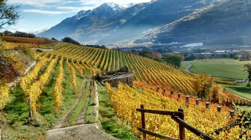 Aosta Valley: Visit and wine tasting at the Grosjean winery - Why You Should Consider This Tour