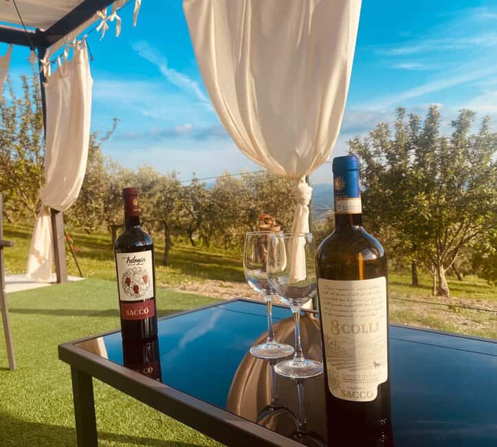 Aperitivo e degustazione di vini in vigna alla Cantina Sacco - Final thoughts