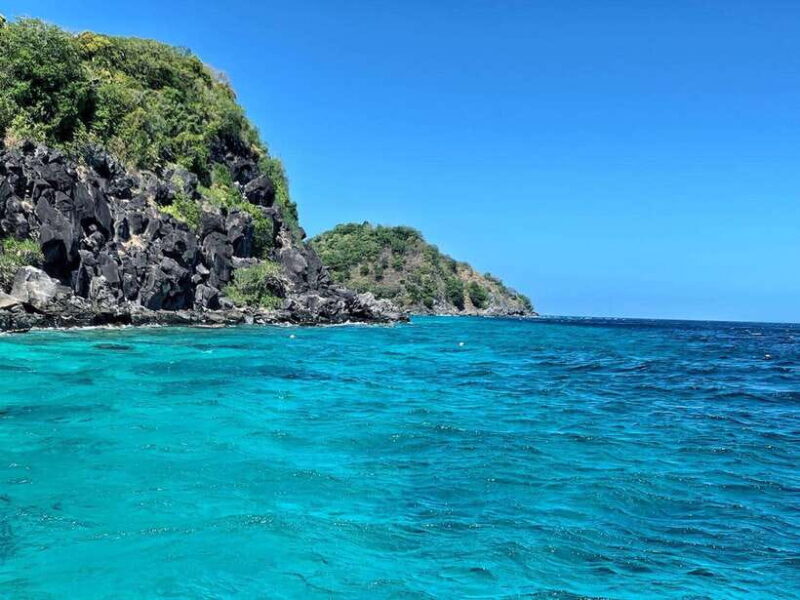 Apo Island Wonders: Snorkel with Sea Turtles in Dumaguete - Why Choose This Tour?