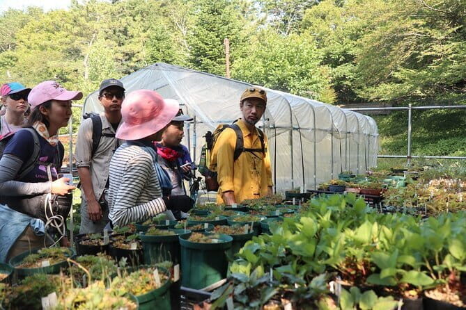 Apoi-dake Private Hiking with Guided Commentary - Exploring Mount Apoi: An Authentic Nature Experience