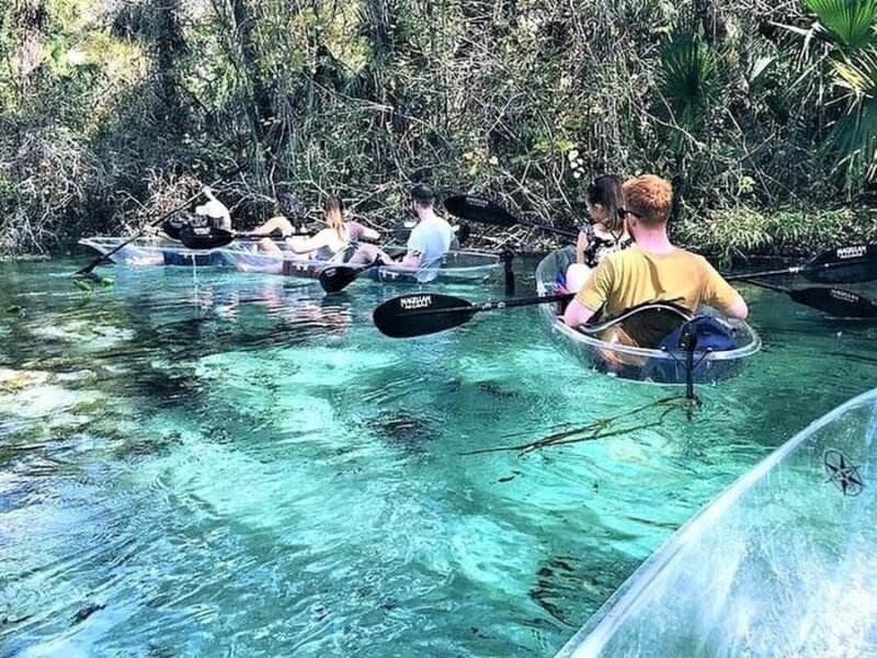 Apopka: Rock Springs Clear Kayak Tour - An In-Depth Look at the Rock Springs Clear Kayak Tour