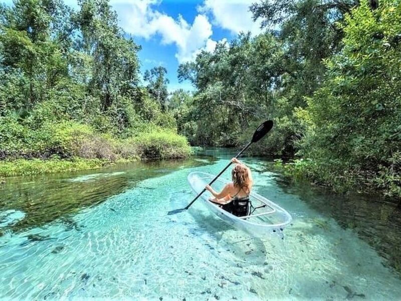 Apopka: Rock Springs Clear Kayak Tour - Final Thoughts: Who Is This Tour Best For?